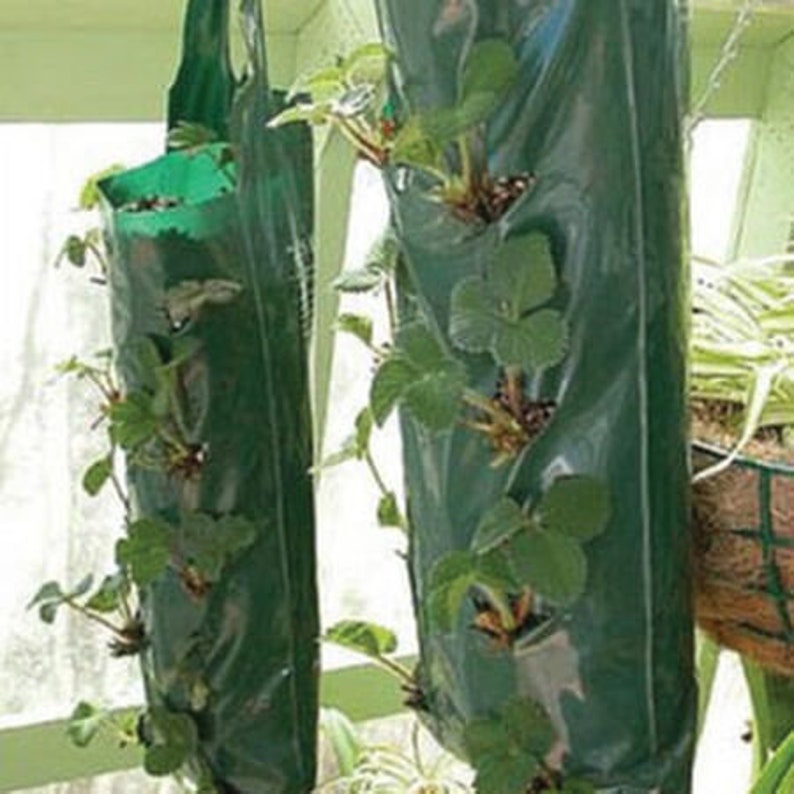 Hanging Grow Bag Flower Pouch Wall Planter Outdoor Etsy