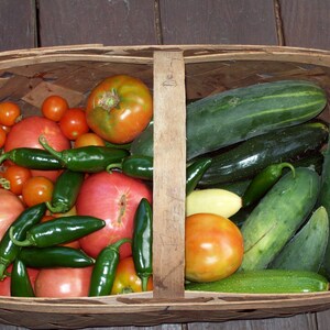 NC Heirloom Clemson Spineless Okra Seeds - Non GMO - Vegetable Gardening Grow Your Own Food image 5