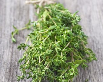 Heirloom Thyme Herb Seeds - Non GMO - Vegetable Gardening Grow Your Own Food