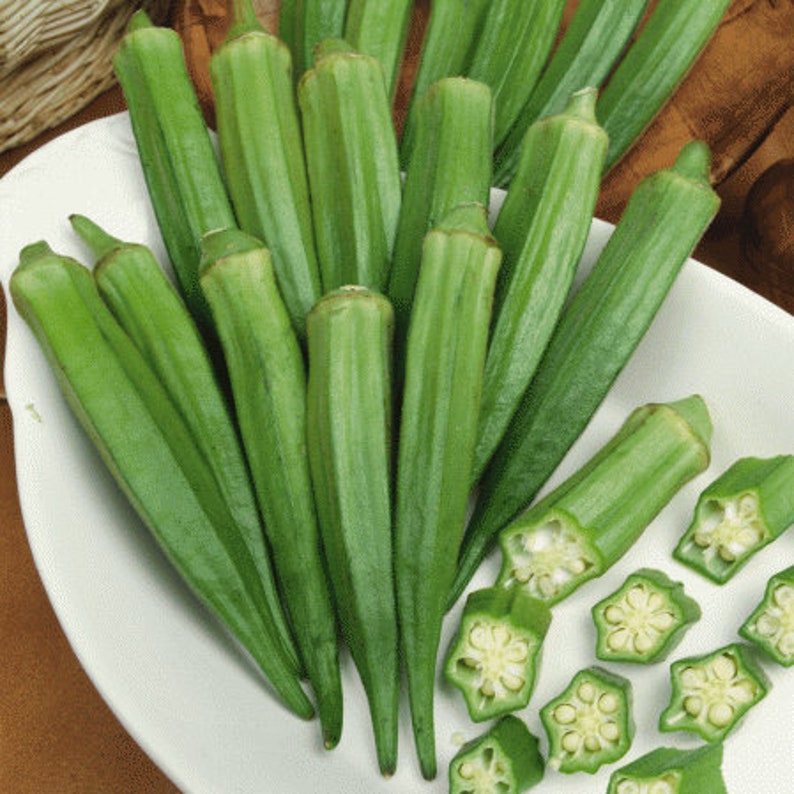 NC Heirloom Clemson Spineless Okra Seeds - Non GMO - Vegetable Gardening Grow Your Own Food image 1