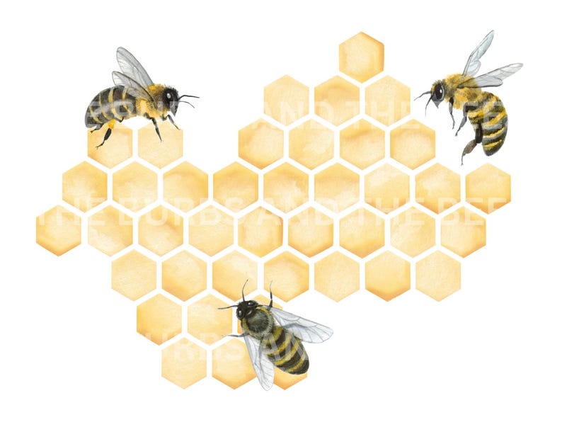 May include: Watercolor illustration of honeybees and a honeycomb. Three bees with black and yellow striped bodies and transparent wings are positioned around a yellow honeycomb. The honeycomb is made up of hexagonal cells, and the background is white.