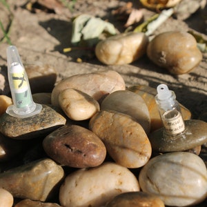 May include: A collection of smooth, rounded stones in various shades of brown and tan. Two small, clear vials are placed on top of the stones. One vial has a yellow and green design, and the other has a label that reads "Official geocache."