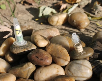 Custom Micro Geocaches - River Rock Coin Button Geomarble