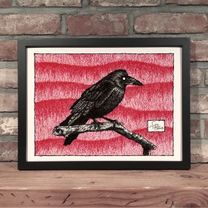 CROW // Pen & Ink  - Art Print