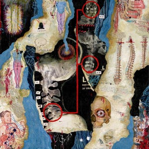 Mixed Media Art Print: Abstract Spinal Collage - Acrylic and Oil Paint