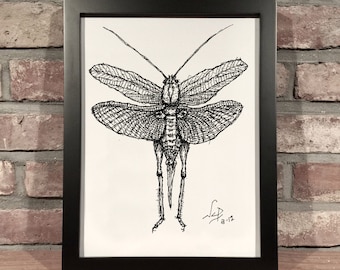 LOCUST // Pen and Ink - Art Print