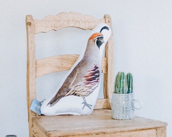 Minky Quail Pillow, Birthday Gift, Southwestern Quail, Arizona Quail Pillow, College Student Gift , Easter gift, Mother's Day Gift