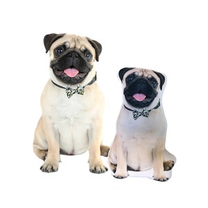 Pet Pillow From Photo, Pet Pillow, Dog pillow, Custom Pet Pillow, Comforting Gift, Memory Pillow, Pet Loss, Pug Lover, Made in the USA