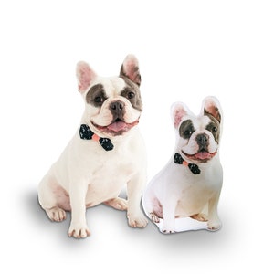 dog pillow, pet pillow, pet pillow from photo, pet loss, memorial gift, comforting Pillow, french bulldog, student gift, Made in the USA
