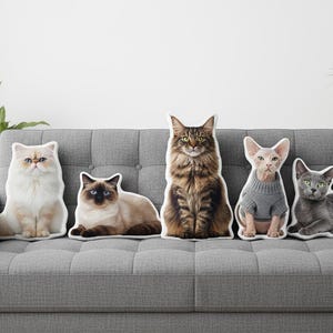 May include: Five cat-shaped throw pillows arranged on a gray sofa. The pillows depict different cat breeds, including a Persian, Siamese, Maine Coon, Sphynx wearing a gray sweater, and a Russian Blue. The background is a plain white wall.