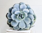 Topsy Turvy Succulent Pillow, Birthday Gift, Desert Pillow, Succulent Decor, Couch Art, Living and Home, Nature Decor, Housewarming Gift