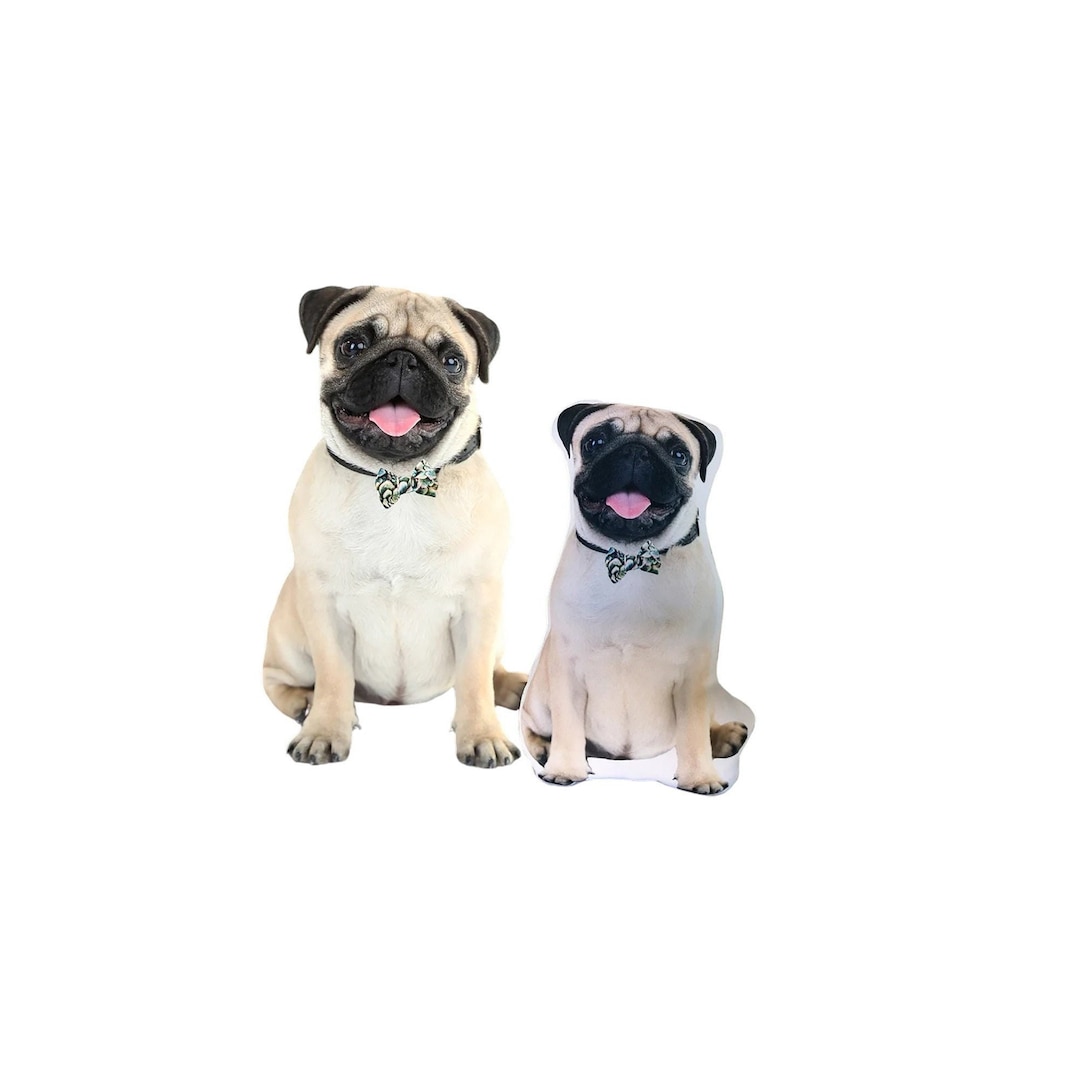 Need Batteries Automatic Watch Means No Battery Citizen Watch