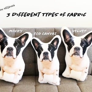 Custom Dog Pillow