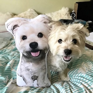 Custom Shaped Pet Pillow, Dog Photo Pillow, College Student Gift, Dorm Room, Going to College, Moving Away, Made in the USA