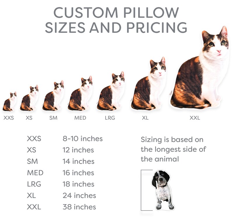 Custom Pet Photo Pillow College Student Gift Dorm Room Etsy
