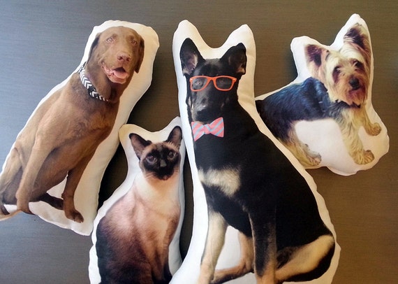 Custom Pet Photo Pillow Personalized Pet Pillow College