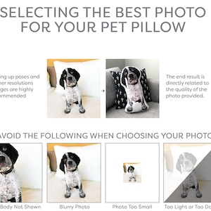 Directions for custom pet pillow images