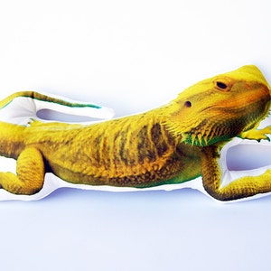 Custom Reptile Pillow: Personalized Pet Memorial Gift