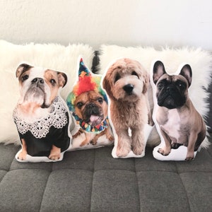 Pet Pillow, University Student Gift, College Student Gift, Dorm Décor, Moving Gift, Memorial Pillow, Grad Gift, 3d pillow, Made in the USA