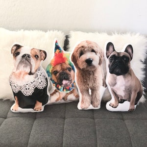 Custom Pet Pillow, Custom Dog Pillow, Custom Cat Pillow, Custom Shaped Photo Pillow, Personalized Photo Pillow, 3D Animal Pillow, Pet Loss, Going to College Gift, Pet Loss Pillow, Dorm Room Decor, Soft Double Sided, Pet Memorial