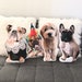 see more listings in the Custom Pet Pillows section