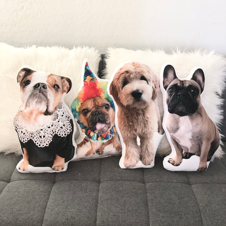 Custom Pet Pillow, Custom Dog Pillow, Custom Cat Pillow, Custom Shaped Photo Pillow, Personalized Photo Pillow, 3D Animal Pillow, Pet Loss, Going to College Gift, Pet Loss Pillow, Dorm Room Decor, Soft Double Sided, Pet Memorial