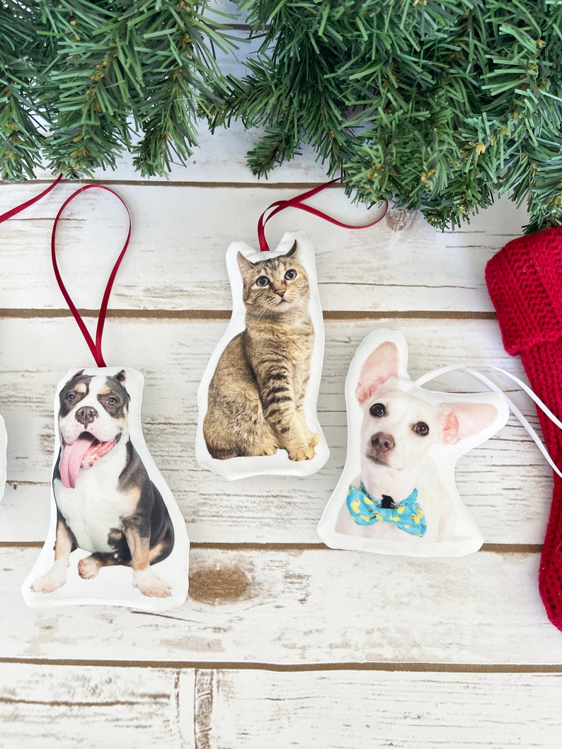 Peut inclure: Ornements de No&euml;l avec des images d'un chien, d'un chat et d'un autre chien. Les ornements ont la forme des animaux et sont munis de boucles en ruban rouge pour les suspendre. Les ornements sont pos&eacute;s sur un fond en bois blanc avec des branches de conif&egrave;res.