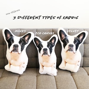 Custom Shaped Pet Pillow, Personalized Pet Memorial, Moving Away Gift, Pet Loss Keepsake, Pet Lover Gift, Personalized 3d face pillow