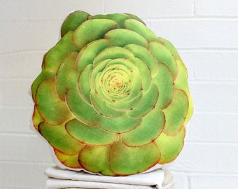 Rosetta Succulent Throw Pillow: Nature Photography Decor, Mother's Day Gift