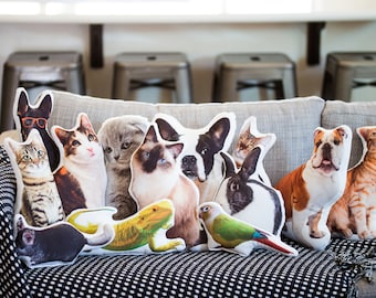 Custom Shaped Pet Pillow, College Student Gift, Dorm Room Gift, Going to College,  Moving Away Gift, Pet Loss Pillow, Memory Pillow