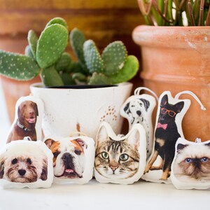 Peut inclure: Ornements sur le th&egrave;me des animaux de compagnie, repr&eacute;sentant diverses races de chiens et de chats. Les ornements pr&eacute;sentent des images d&eacute;taill&eacute;es en couleur d'un Labrador, d'un Dalmatien, d'un Bouledogue et d'autres chiens et chats. Chaque ornement a une ficelle blanche.