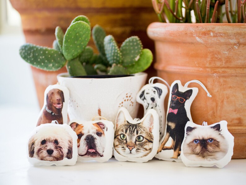 Peut inclure: Ornements sur le th&egrave;me des animaux de compagnie, repr&eacute;sentant diverses races de chiens et de chats. Les ornements pr&eacute;sentent des images d&eacute;taill&eacute;es en couleur d'un Labrador, d'un Dalmatien, d'un Bouledogue et d'autres chiens et chats. Chaque ornement a une ficelle blanche.