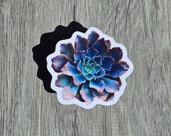 Purple Lettuce Sticker, Arizona Desert Sticker, Waterproof, Stay Hydrated Sticker, Easter gift, Mother's Day Gift