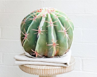 Barrel Cactus Pillow, Easter Gift , Housewarming Gift, Desert Photography, Desert Decor, Cactus Photography, Modern Decor, Dorm