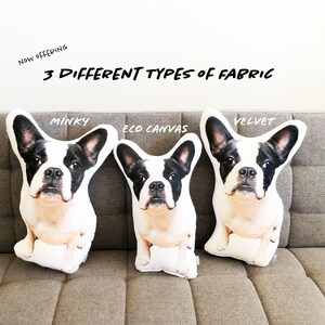 May include: Three plush pillows shaped like French Bulldogs, each with a different fabric: Minky, Eco Canvas, and Velvet. The pillows are displayed on a brown sofa.