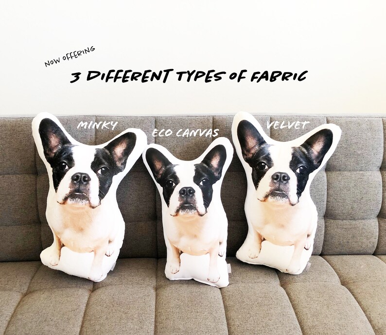 May include: Three plush pillows shaped like French Bulldogs, each with a different fabric: Minky, Eco Canvas, and Velvet. The pillows are displayed on a brown sofa.