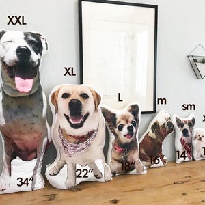 May include: A set of nine dog pillow cushions in various sizes, ranging from extra extra large to extra small. The pillows feature different dog breeds with printed faces and are labeled with their corresponding sizes: XXL, XL, L, m, sm, and XS. The pillows are arranged in a row from largest to smallest, with the largest pillow measuring 34 inches and the smallest measuring 12 inches.