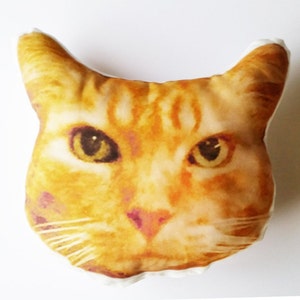 Custom Cat Face Pillow, College Student Gift, Memorial Pillow, Rainbow Bridge, Pet Loss, Cat Lover, Graduation gift, Mother's Day Gift, Etsy image 4