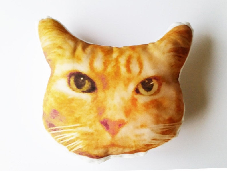 Custom Cat Face Pillow, College Student Gift, Memorial Pillow, Rainbow Bridge, Pet Loss, Cat Lover, Graduation gift, Mother's Day Gift, Etsy image 4