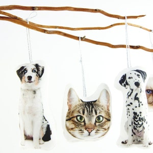 Peut inclure: Ornements sur le th&egrave;me des animaux de compagnie suspendus &agrave; une branche naturelle. Les d&eacute;corations repr&eacute;sentent un chien, un chat et un dalmatien. Chaque ornement est suspendu par une ficelle argent&eacute;e sur fond blanc.