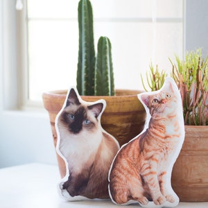 Custom Cat Shapped Pillow