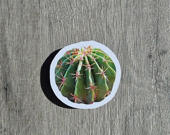 Barrel Cactus Sticker, Arizona Desert Sticker, Waterproof, Stay Hydrated Sticker, Easter gift, Mother's Day Gift