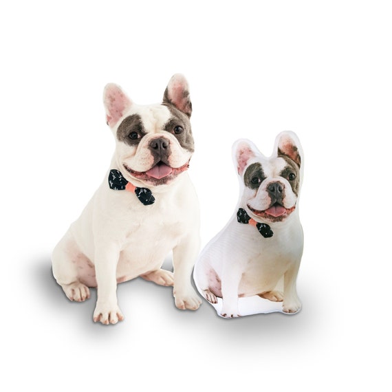 Etsy custom dog deals pillow