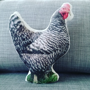 Chicken pillow, Fiber fill, Eco canvas pillow, Decoration only, 100% Polyester fabric, Farm animal throw pillow, Pet pillow, Washable
