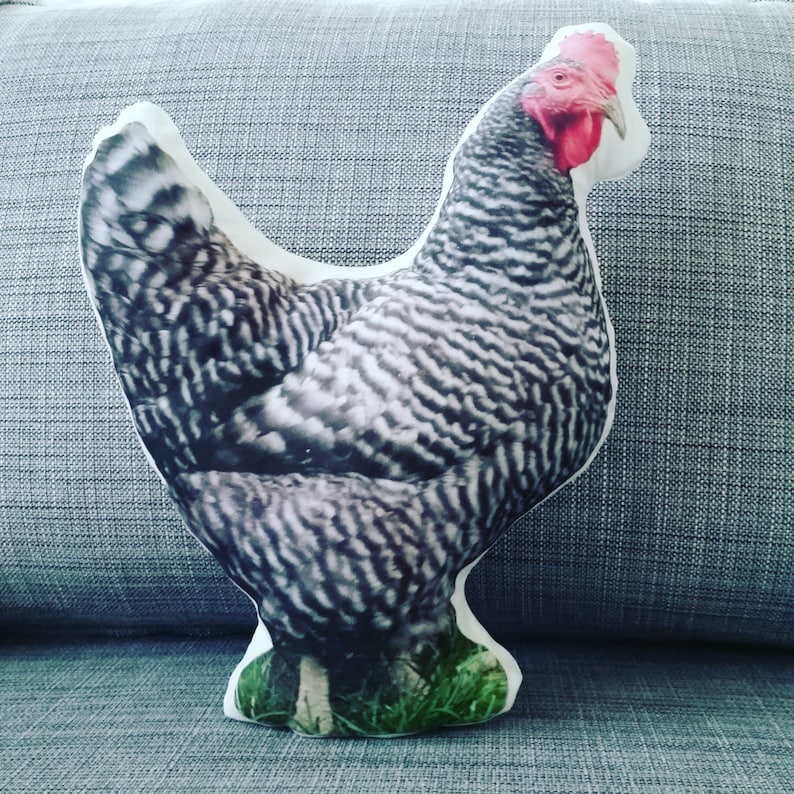 Chicken pillow, Fiber fill, Eco canvas pillow, Decoration only, 100% Polyester fabric, Farm animal throw pillow, Pet pillow, Washable