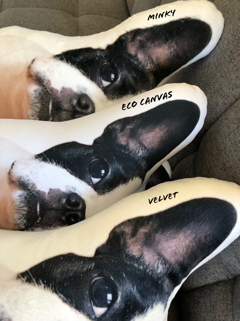 Custom Shaped Pet Pillow College Student Gift Dorm Room Etsy