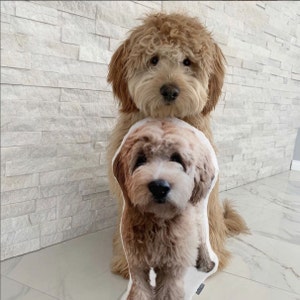 May include: A light brown dog holding a plush toy of a dog in its paws. The plush toy is a light brown color with a white chest and paws.