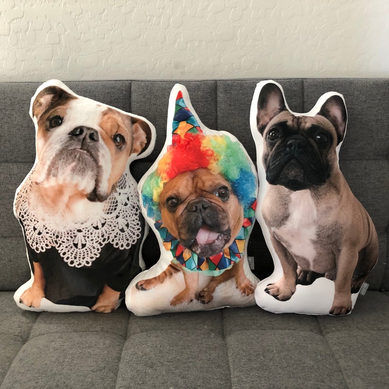 Custom Pet Photo Pillow College Student Gift Dorm Room Etsy