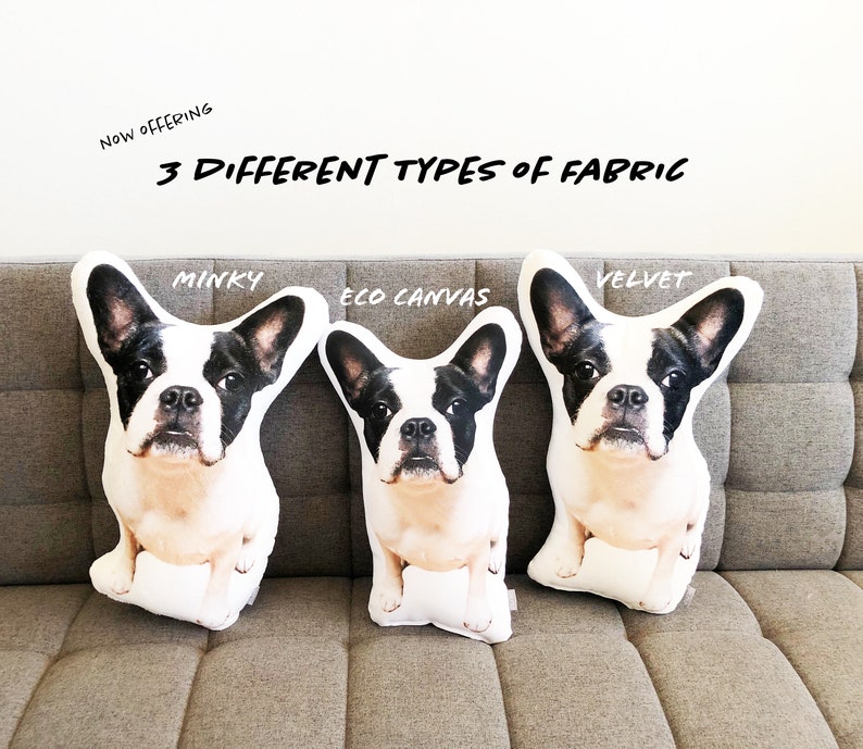 May include: Three plush pillows shaped like French Bulldogs, each with a different fabric: Minky, Eco Canvas, and Velvet. The pillows are displayed on a brown couch.