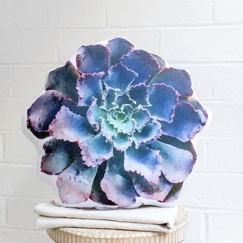 Echeveria Neon Breakers Succulent Pillow, Christmas Gift, Succulent  Pillow,  Succulent Decor, Accent Pillow, Home Decor, New Home Gift